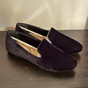 Birdies The Starling